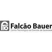 Falcão Bauer